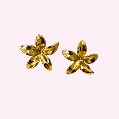 BOUCLE D'OREILLES